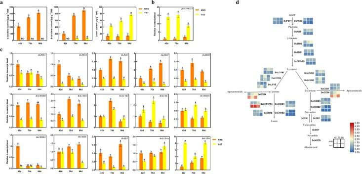 https://cdn.ncbi.nlm.nih.gov/pmc/blobs/9358/12017800/978ab806c66c/uhaf054f1.jpg
