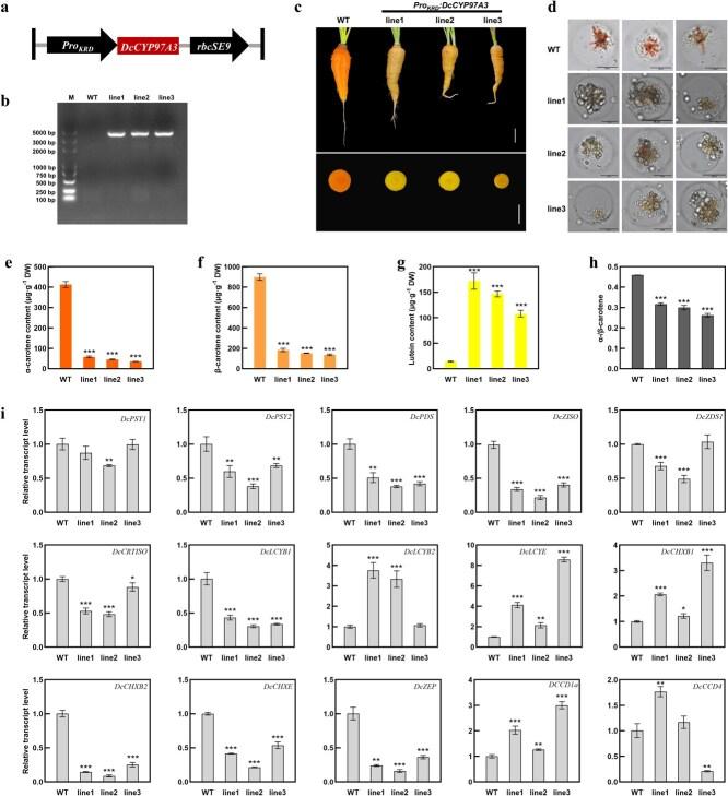 https://cdn.ncbi.nlm.nih.gov/pmc/blobs/9358/12017800/ac12158499c4/uhaf054f4.jpg