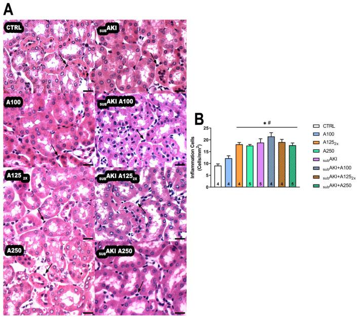 https://cdn.ncbi.nlm.nih.gov/pmc/blobs/9358/12030660/a661c554bde8/pharmaceuticals-18-00541-g004.jpg