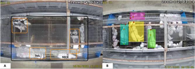 https://cdn.ncbi.nlm.nih.gov/pmc/blobs/9359/10465565/38c0b5f34e01/41598_2023_41104_Fig4_HTML.jpg