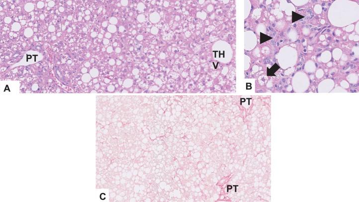 https://cdn.ncbi.nlm.nih.gov/pmc/blobs/9359/11199145/21e973506068/42255_2024_1043_Fig15_ESM.jpg