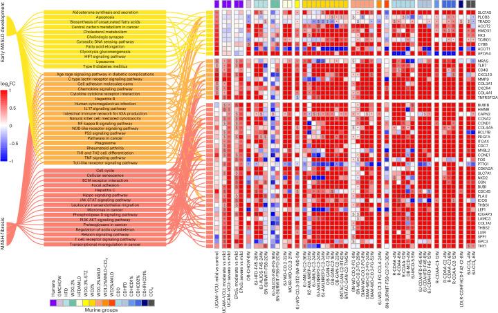 https://cdn.ncbi.nlm.nih.gov/pmc/blobs/9359/11199145/5b4b834ce89f/42255_2024_1043_Fig5_HTML.jpg