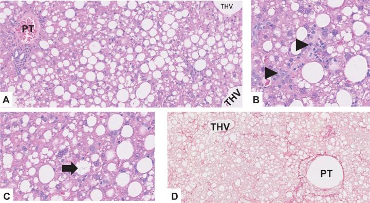 https://cdn.ncbi.nlm.nih.gov/pmc/blobs/9359/11199145/5c88070d358b/42255_2024_1043_Fig14_ESM.jpg
