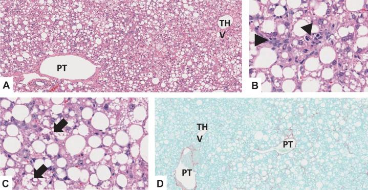 https://cdn.ncbi.nlm.nih.gov/pmc/blobs/9359/11199145/7008c9f3147c/42255_2024_1043_Fig17_ESM.jpg