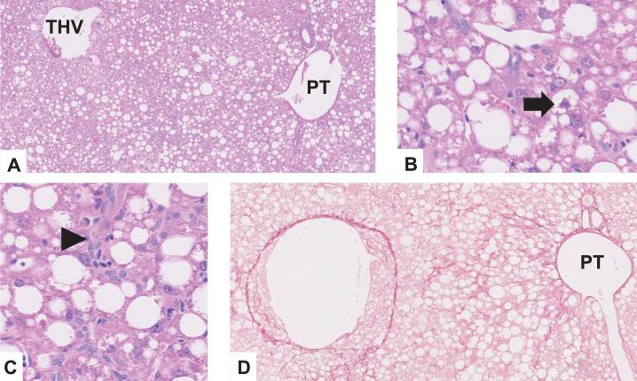https://cdn.ncbi.nlm.nih.gov/pmc/blobs/9359/11199145/8b8bfcfd60b2/42255_2024_1043_Fig13_ESM.jpg