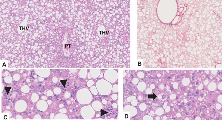 https://cdn.ncbi.nlm.nih.gov/pmc/blobs/9359/11199145/c82f3ff5cc5d/42255_2024_1043_Fig18_ESM.jpg
