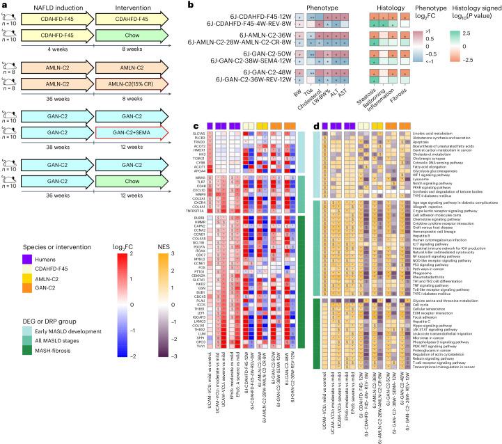 https://cdn.ncbi.nlm.nih.gov/pmc/blobs/9359/11199145/d3156507d1c4/42255_2024_1043_Fig8_HTML.jpg
