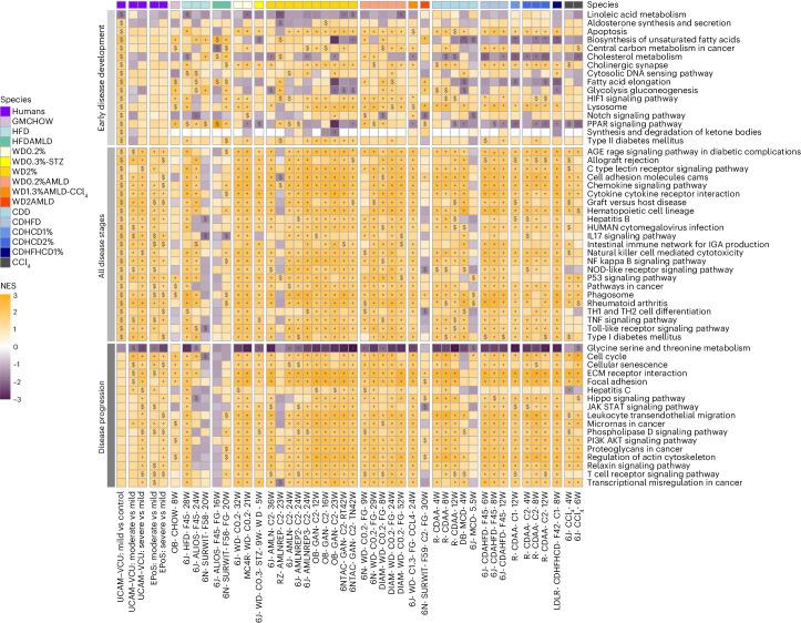 https://cdn.ncbi.nlm.nih.gov/pmc/blobs/9359/11199145/f00f0bf77d82/42255_2024_1043_Fig3_HTML.jpg