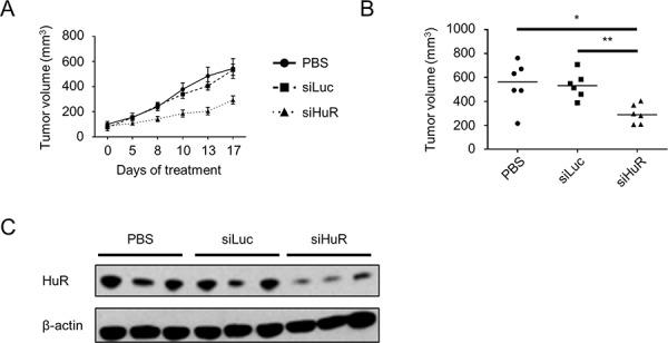https://cdn.ncbi.nlm.nih.gov/pmc/blobs/9359/4694992/f35def250598/oncotarget-06-27312-g006.jpg