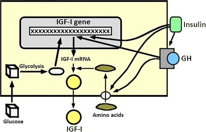 https://cdn.ncbi.nlm.nih.gov/pmc/blobs/935c/5063841/eab5dd80d351/cmed-9-2016-047f2.jpg