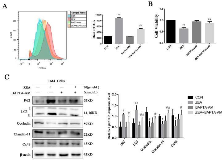 https://cdn.ncbi.nlm.nih.gov/pmc/blobs/935c/8703826/4c375faaa69e/toxins-13-00875-g006.jpg