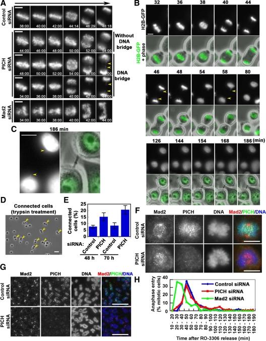 https://cdn.ncbi.nlm.nih.gov/pmc/blobs/935d/2847523/680b8cff5c92/zmk0071094050008.jpg