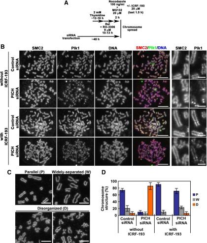 https://cdn.ncbi.nlm.nih.gov/pmc/blobs/935d/2847523/ada00183f852/zmk0071094050004.jpg