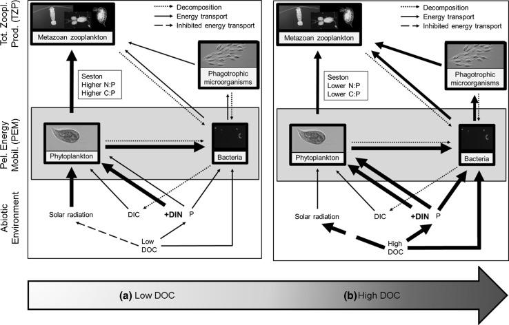 https://cdn.ncbi.nlm.nih.gov/pmc/blobs/9361/5563339/d6a80c526b2e/442_2017_3921_Fig1_HTML.jpg