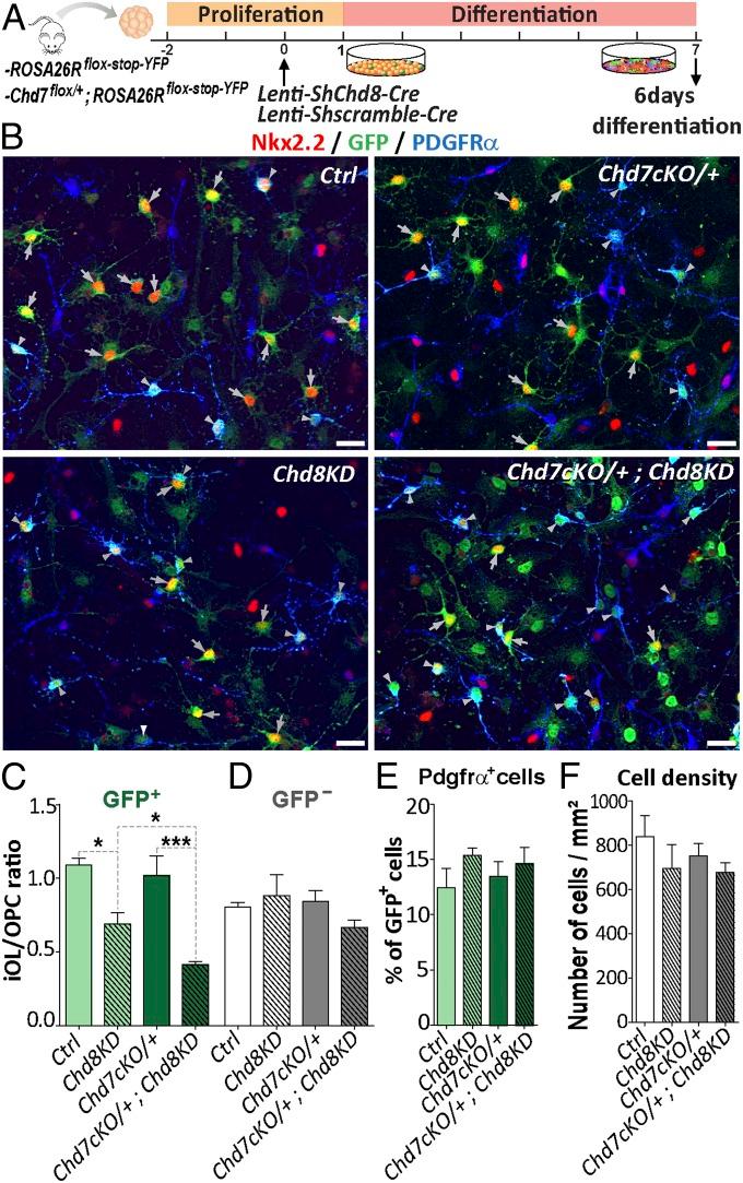 https://cdn.ncbi.nlm.nih.gov/pmc/blobs/9367/6126750/41962352a2c3/pnas.1802620115fig07.jpg