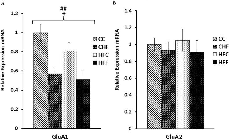 https://cdn.ncbi.nlm.nih.gov/pmc/blobs/9367/7516040/6ae0ffab443e/fnins-14-527258-g008.jpg
