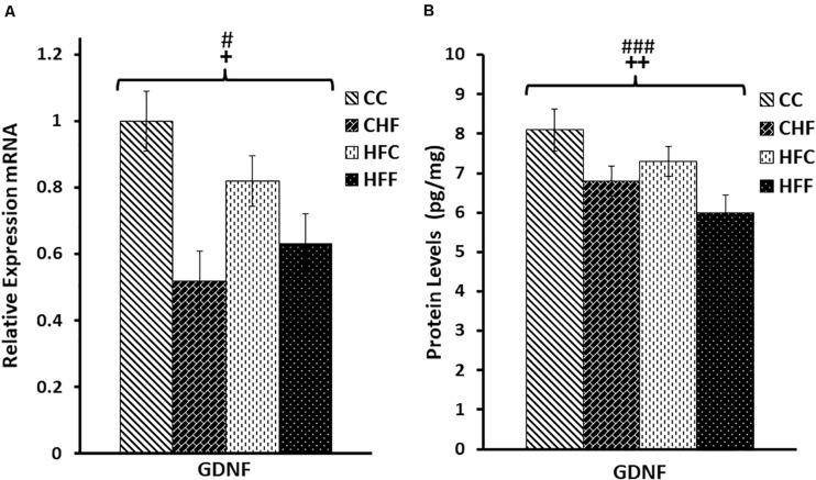 https://cdn.ncbi.nlm.nih.gov/pmc/blobs/9367/7516040/fbcca0bd8b8c/fnins-14-527258-g003.jpg