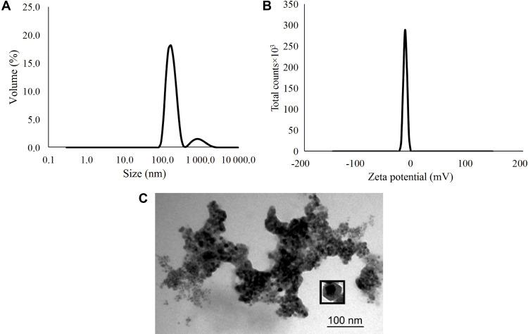 https://cdn.ncbi.nlm.nih.gov/pmc/blobs/9367/8384349/33dba143a161/IJN-16-5651-g0005.jpg