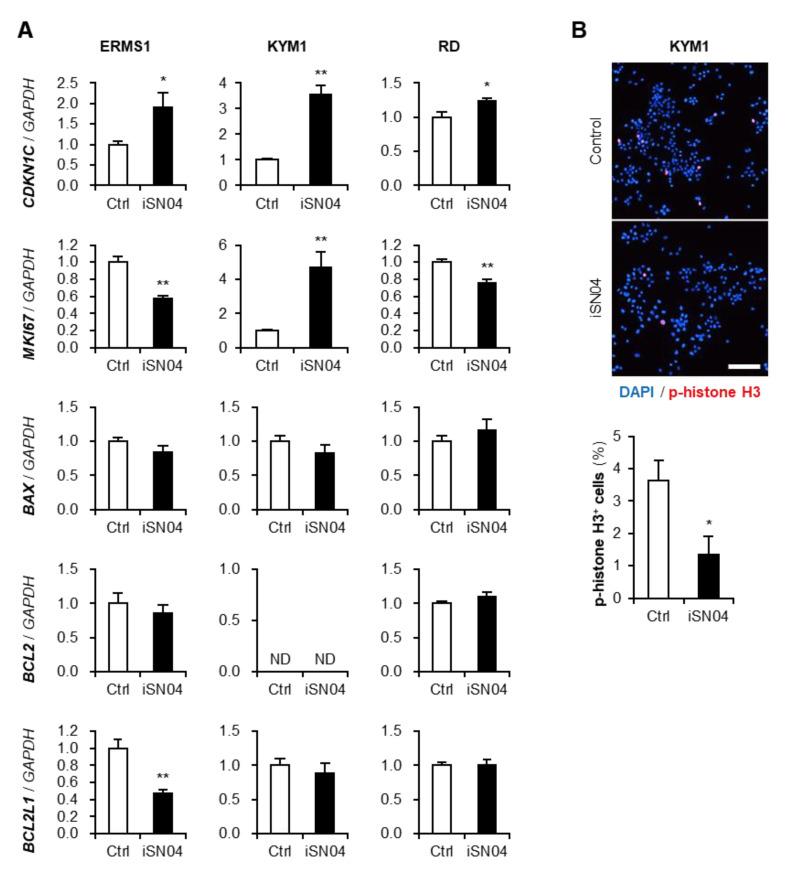 https://cdn.ncbi.nlm.nih.gov/pmc/blobs/9367/9687923/502295922b41/biomedicines-10-02691-g003.jpg