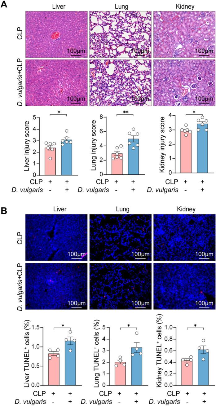https://cdn.ncbi.nlm.nih.gov/pmc/blobs/9368/12075292/3eb6980a92e4/fmicb-16-1574998-g003.jpg