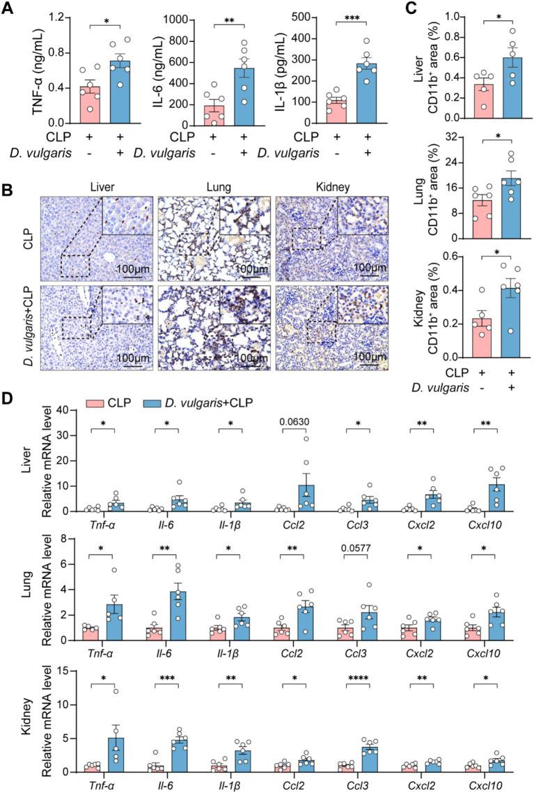 https://cdn.ncbi.nlm.nih.gov/pmc/blobs/9368/12075292/6473d48838b6/fmicb-16-1574998-g004.jpg