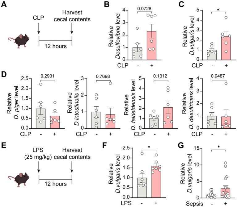 https://cdn.ncbi.nlm.nih.gov/pmc/blobs/9368/12075292/70232d1f6cc3/fmicb-16-1574998-g001.jpg
