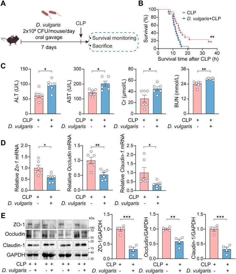 https://cdn.ncbi.nlm.nih.gov/pmc/blobs/9368/12075292/73ede95492cc/fmicb-16-1574998-g002.jpg