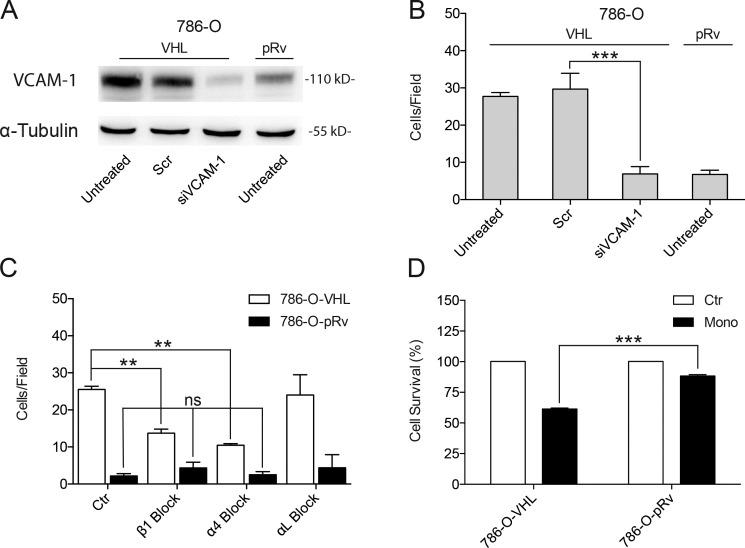https://cdn.ncbi.nlm.nih.gov/pmc/blobs/9368/5350518/399a0eae1b2e/JCB_201608024_Fig7.jpg