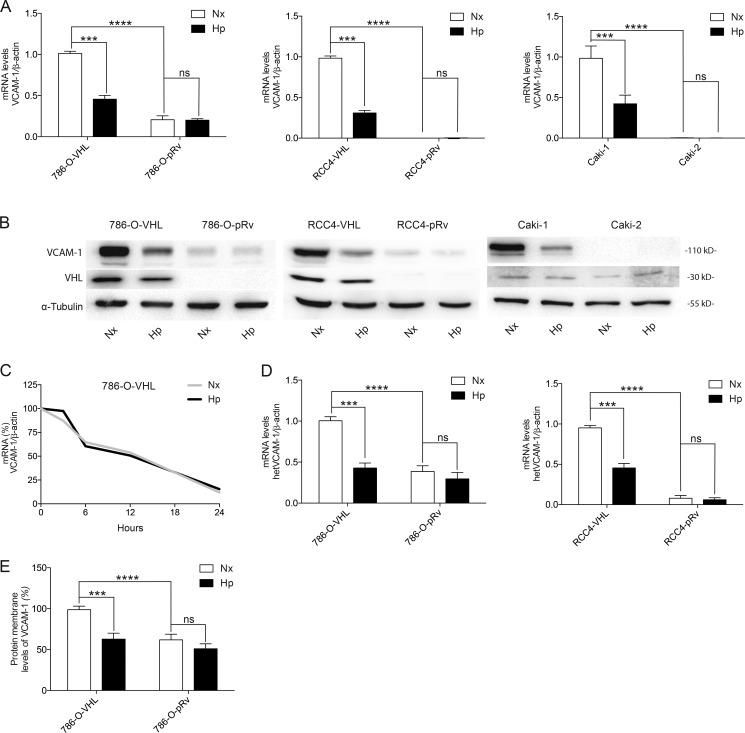 https://cdn.ncbi.nlm.nih.gov/pmc/blobs/9368/5350518/ae3793af52c6/JCB_201608024_Fig1.jpg