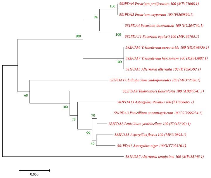 https://cdn.ncbi.nlm.nih.gov/pmc/blobs/9368/6457323/8fda68c2d231/BMRI2019-6105865.002.jpg