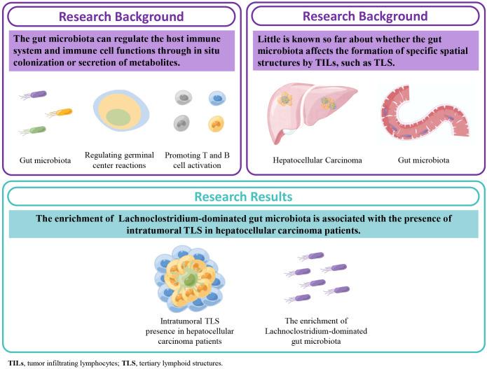 https://cdn.ncbi.nlm.nih.gov/pmc/blobs/9369/10728494/f880893e81cd/fimmu-14-1289753-g001.jpg