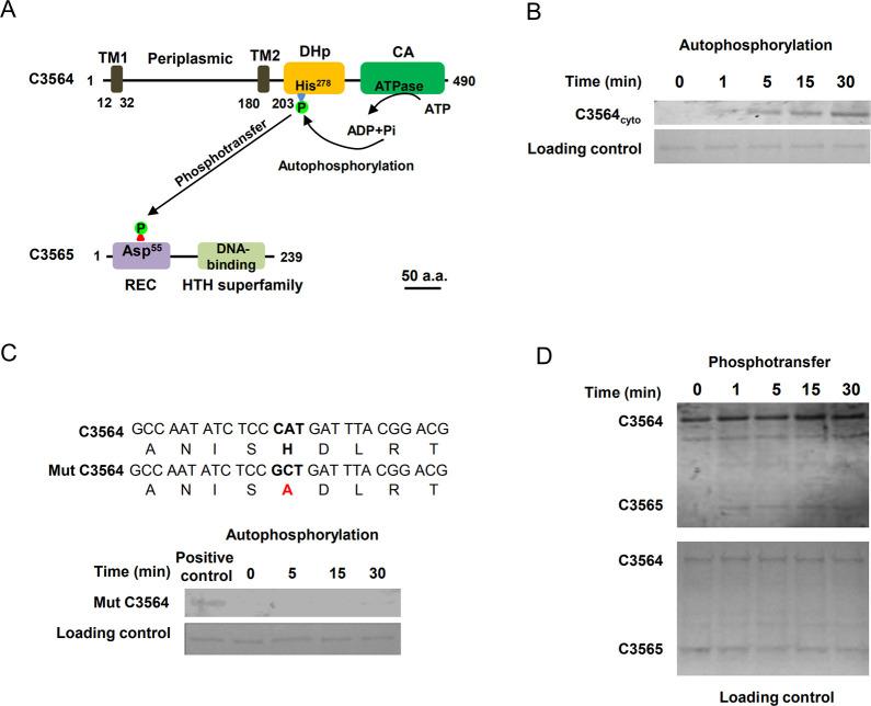 https://cdn.ncbi.nlm.nih.gov/pmc/blobs/9369/8550376/2dfbbee6f2aa/ppat.1010005.g001.jpg
