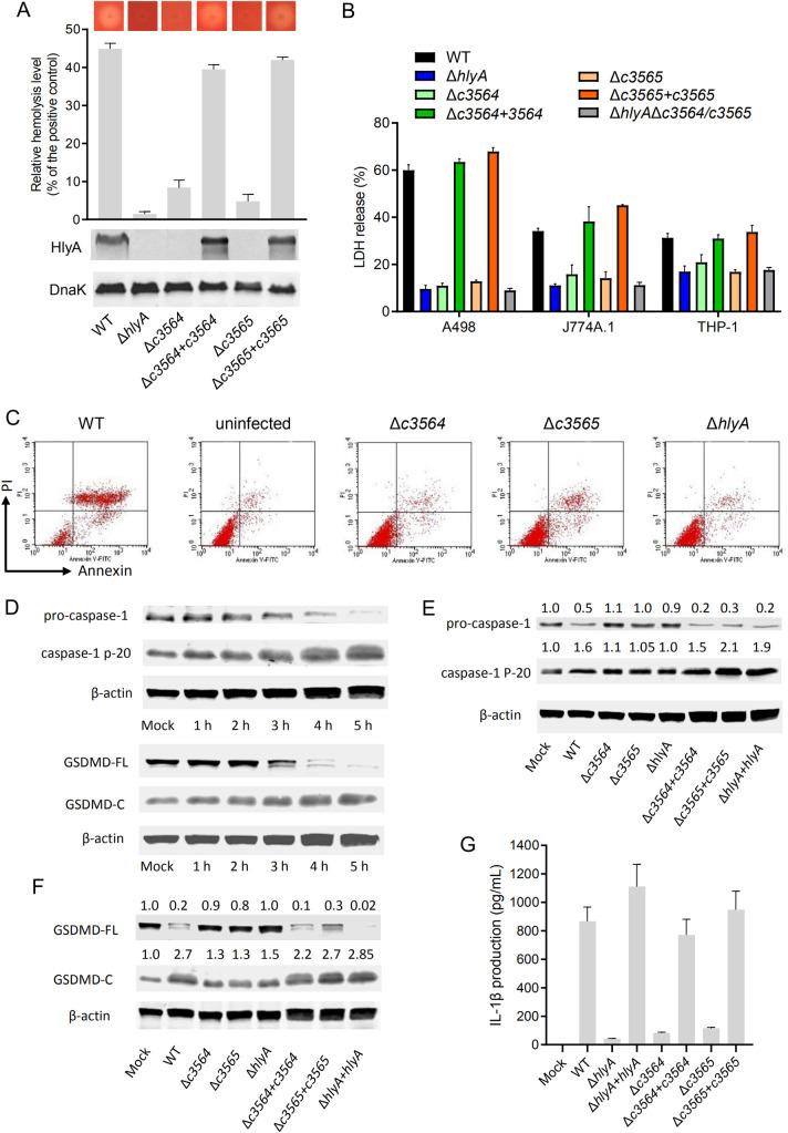 https://cdn.ncbi.nlm.nih.gov/pmc/blobs/9369/8550376/344b32a9d654/ppat.1010005.g003.jpg