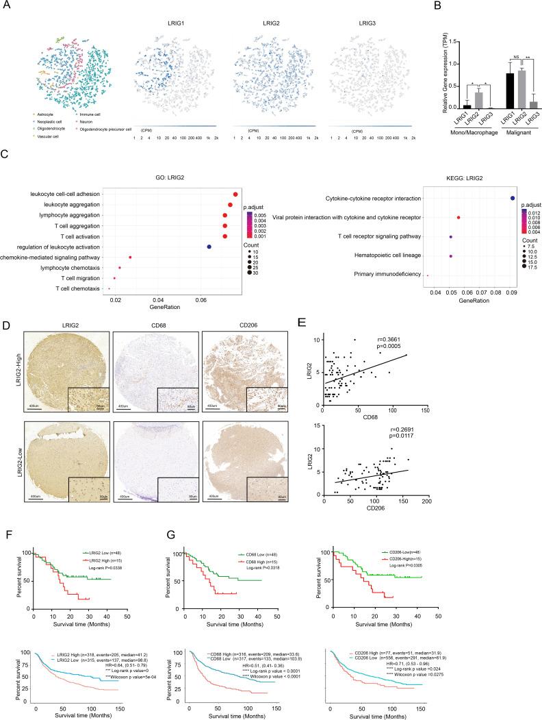 https://cdn.ncbi.nlm.nih.gov/pmc/blobs/936c/9472135/368894ab346e/jitc-2021-004452f01.jpg