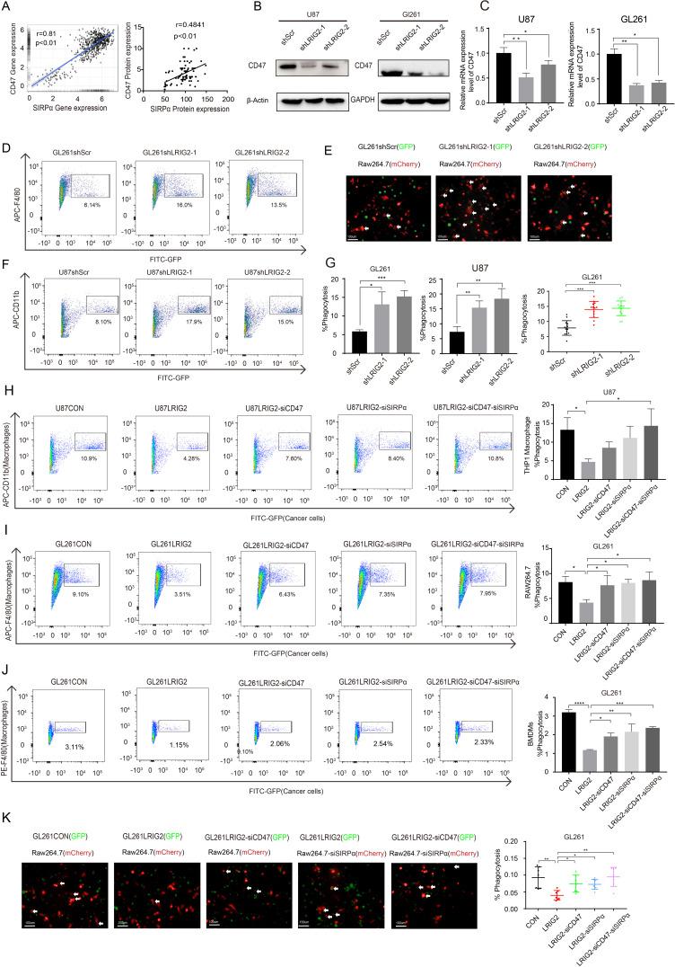 https://cdn.ncbi.nlm.nih.gov/pmc/blobs/936c/9472135/e9dbda4aad38/jitc-2021-004452f03.jpg