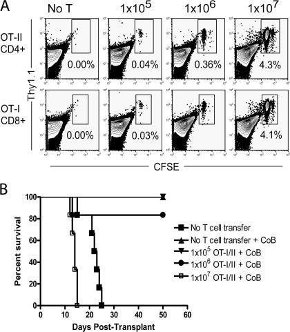 https://cdn.ncbi.nlm.nih.gov/pmc/blobs/936f/2118720/641b34352428/jem2040299f02.jpg