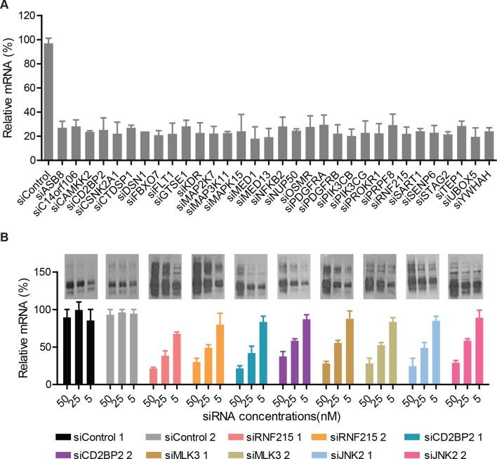 https://cdn.ncbi.nlm.nih.gov/pmc/blobs/9371/4749566/fcf1ee320867/elife-10365-fig2-figsupp3.jpg