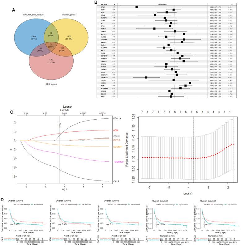 https://cdn.ncbi.nlm.nih.gov/pmc/blobs/9372/12185455/4941c2a1d5dd/fimmu-16-1565954-g004.jpg