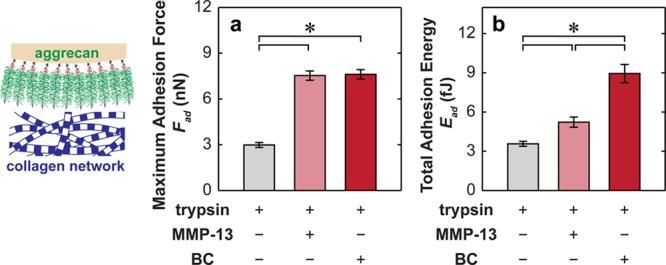 https://cdn.ncbi.nlm.nih.gov/pmc/blobs/9373/3983133/cdc7abf98028/bm-2013-01611b_0009.jpg