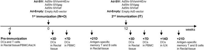 https://cdn.ncbi.nlm.nih.gov/pmc/blobs/9373/6473464/536417e4b46a/fimmu-10-00779-g0001.jpg
