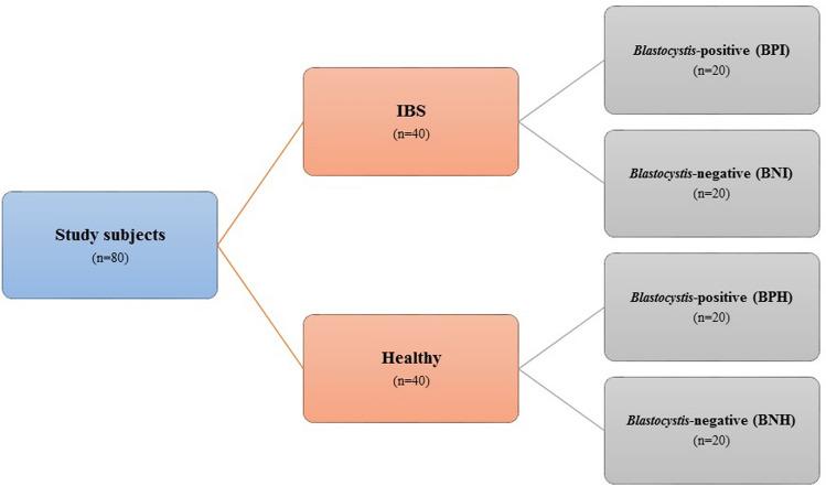 https://cdn.ncbi.nlm.nih.gov/pmc/blobs/9374/10626746/ffce93e5f1a8/40001_2023_1441_Fig1_HTML.jpg