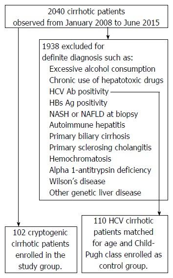 https://cdn.ncbi.nlm.nih.gov/pmc/blobs/9374/5330831/86c178a08acd/WJG-23-1458-g001.jpg