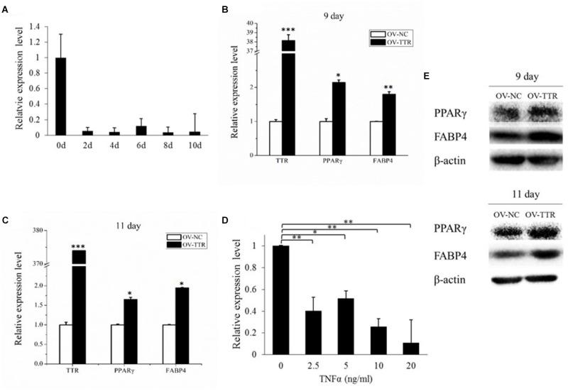 https://cdn.ncbi.nlm.nih.gov/pmc/blobs/9378/6200853/d8b56144d547/fgene-09-00463-g007.jpg
