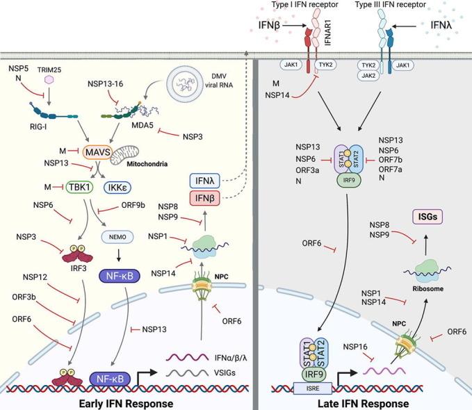 https://cdn.ncbi.nlm.nih.gov/pmc/blobs/9378/8457632/a41b7ebb2b47/ga1_lrg.jpg