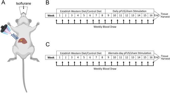 https://cdn.ncbi.nlm.nih.gov/pmc/blobs/937b/7930257/4c2116ad5b7a/41598_2021_84330_Fig1_HTML.jpg