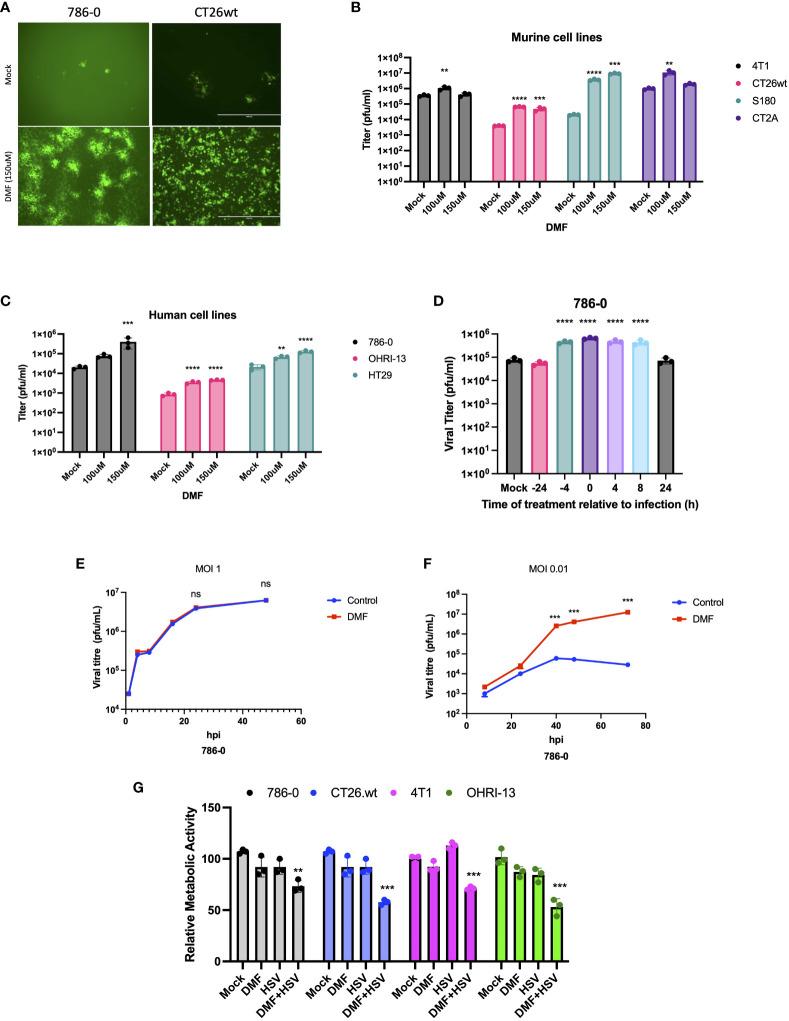 https://cdn.ncbi.nlm.nih.gov/pmc/blobs/937d/10758402/3c91813675b1/fimmu-14-1332929-g001.jpg