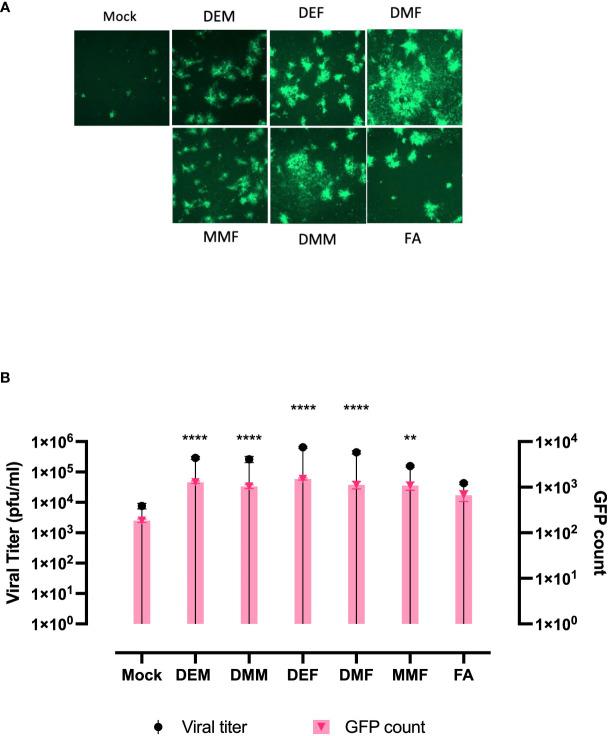 https://cdn.ncbi.nlm.nih.gov/pmc/blobs/937d/10758402/aae50f50fe89/fimmu-14-1332929-g003.jpg