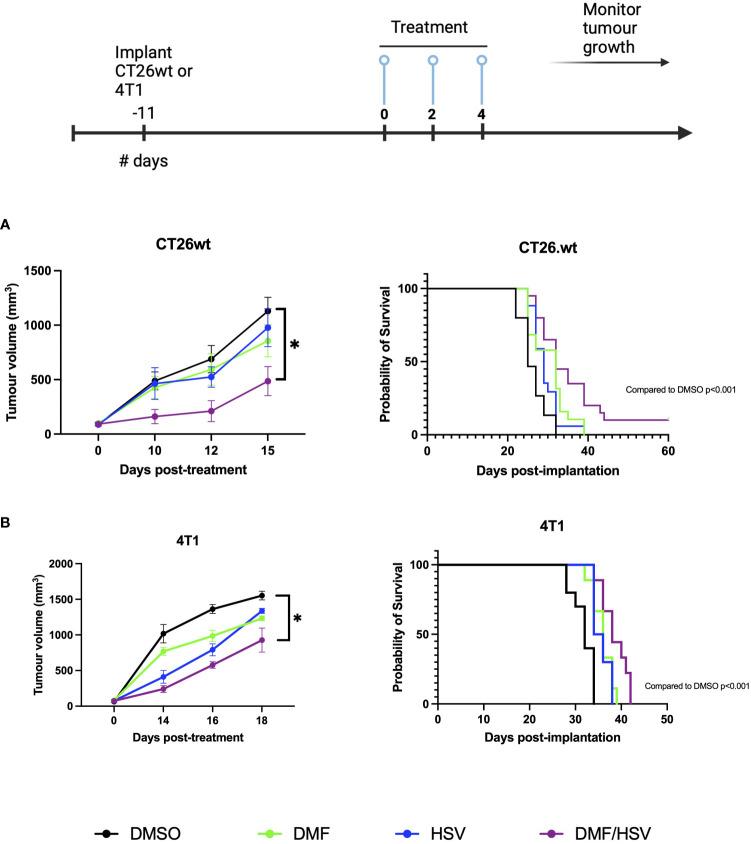https://cdn.ncbi.nlm.nih.gov/pmc/blobs/937d/10758402/c84b427331c4/fimmu-14-1332929-g005.jpg