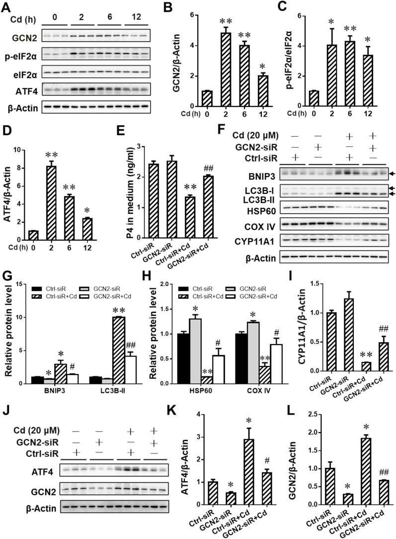 https://cdn.ncbi.nlm.nih.gov/pmc/blobs/937f/7811044/14c4805f515e/gr8.jpg