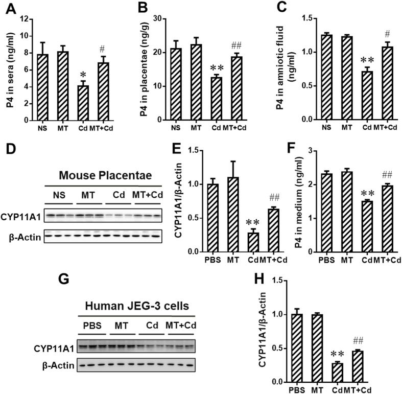 https://cdn.ncbi.nlm.nih.gov/pmc/blobs/937f/7811044/1c54345e2285/gr3.jpg